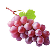 Fototapeta premium grape white background