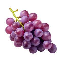 Fototapeta premium grape white background