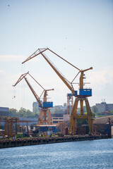 Container terminal, with cranes, in a commercial port