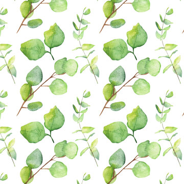 Seamless pattern green leaves trees and branches, foliage of natural branches, green leaves, herbs, tropical plants hand drawn watercolor on white background. © Makarova Art