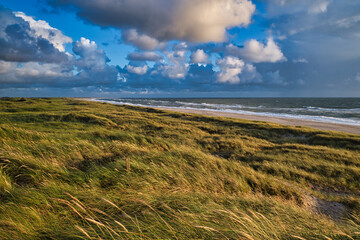 Dänemark, Strand