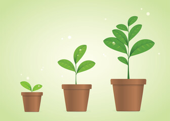 Realistic Detailed 3d Green Houseplant Stage Growth Set Gardening Cultivate Concept. Vector illustration of House Plant
