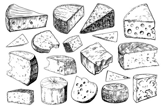 Collection of cheese, brie, camember, parmesan and blue cheese, European cheese assortment, slices, black ink engraving  drawing, isolated, transparent png