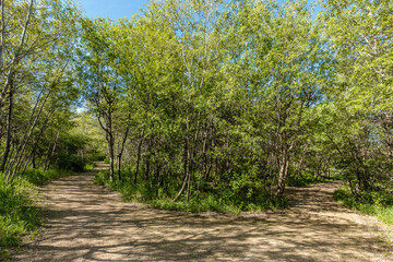Heritage Park in the city of Saskatoon, Canada
