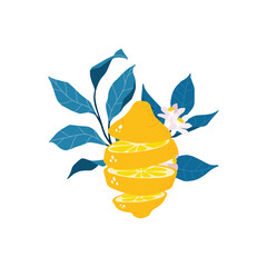 Vector hand drawn vector illustration of a lemon and a cut lemon, lemon branches and flowers.