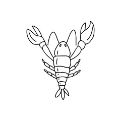 Hand drawn lobster vector illustration.
