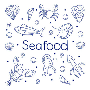 Hand drawn set of vector illustrations seafood.