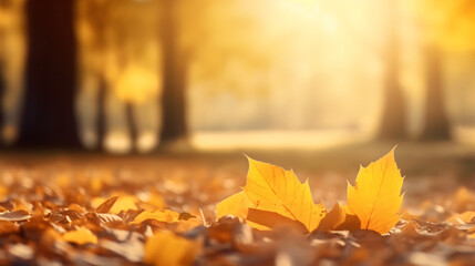 Naklejka na ściany i meble Autumn alley with beautiful golden colors and leaves / foliage.Generative AI