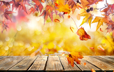 Naklejka na ściany i meble orange fall leaves and old wooden board, autumn natural background