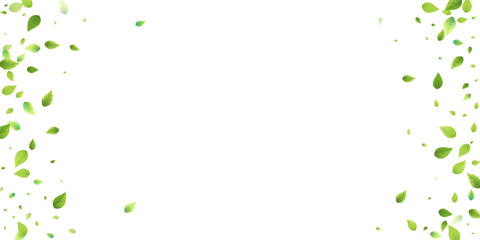 Leaves Green Falling Flying Foliage Leaf Tea Mint