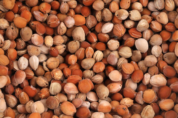 Noyaux de cerises en gros plan sur fond