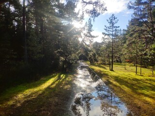 Wet park path with sun reflections in Palanga botanic park