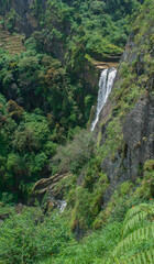 waterfall in the mountains forest 