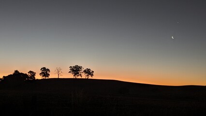 sunset in the desert