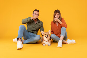 Young european man and woman closing their noses, as corgi dog farting nearby, sitting on yellow...