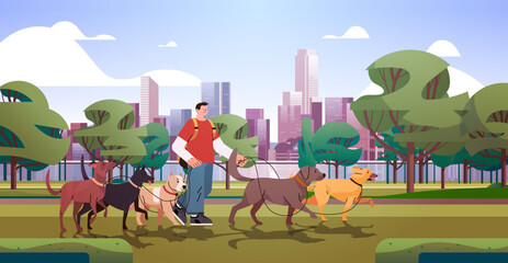 man dog handler walks with pets in urban park best friends domestic animals walking service volunteering pet care concept