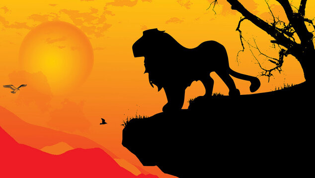 lion on sunset background