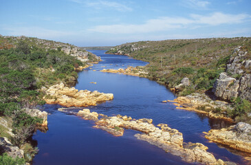 Palmiet River in South Africa - 629500057