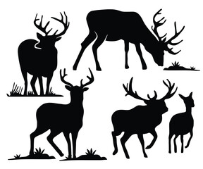 Deer animal silhouette collection

