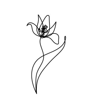 Abstract flower line drawing, isolated on white background	