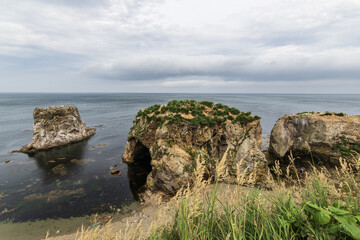 The coast of the Sea of Okhotsk in cloudy weather with rocks and vegetation