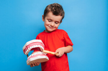 A smiling boy with healthy teeth holds a large jaw and a toothbrush in his hands on a blue isolated...