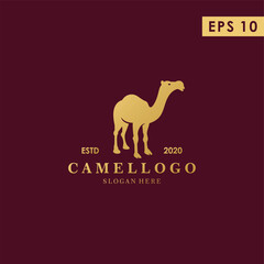 Luxury Camel Logo Design Vector Template WIth Gold Colour