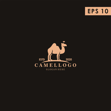 Camel King Modern Logo Design With Flat Style Vector Template