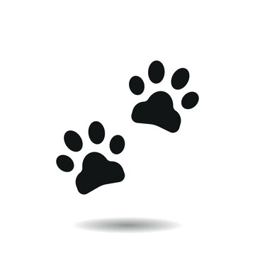Paw icon vector illustration. Footprint on isolated background. Foot sign concept.