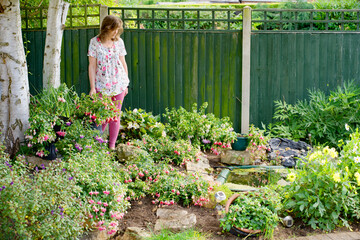 Pink Fairy in the Fuchsia Garden.