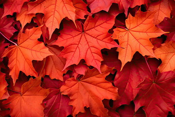 autumn maple leaves, generative ai