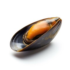 Mussel isolated on white background. Generative AI