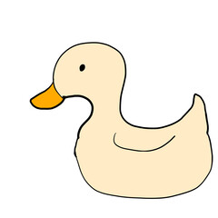 duck