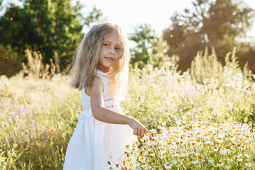Fototapeta na wymiar A cute little girl is playing on a sunny summer day in a blooming meadow. The child takes care of the flowers. The child has fun in nature.