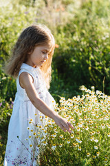 A cute little girl is playing on a sunny summer day in a blooming meadow. The child takes care of the flowers. The child has fun in nature.