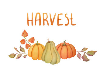 Hand drawn watercolor autumn pumpkins Isolated on transparent background. horizontal fall postcard design for greeting, promotion. Thanksgiving decor, autumn harvest card. Garden, farm vegetables