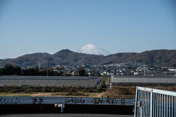 Mt. Fuji