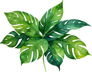 Tropical Botanical Floral Leaf, Isolated on Transparent Background for Design Element. AI generative.