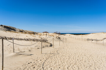 The Gray Dunes, or the Dead Dunes is sandy hills with a bit of green specks at the Lithuanian side of the Curonian Spit