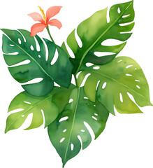 Tropical Botanical Floral Leaf, Isolated on Transparent Background for Design Element. AI generative.