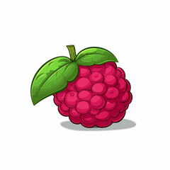 Raspberry. Raspberry hand-drawn comic illustration. Vector doodle style cartoon illustration.