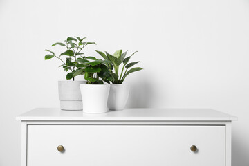 Many different houseplants in pots on chest of drawers near white wall, space for text