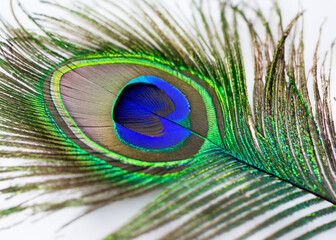 Obraz premium abstract peacock feather pattern created with generative ai technology