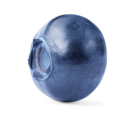 One ripe tasty blueberry isolated on white