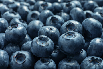 Tasty fresh blueberries as background, closeup view