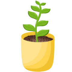 Colorful potted plants 