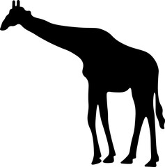Fototapeta na wymiar Fauna of Giraffe Silhouette Illustration Vector