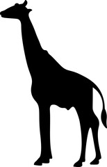 Safari Giraffe Silhouette Illustration Vector