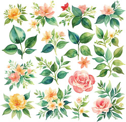 Set of Tropical Botanical Floral Leaf Watercolor Illustrations, Isolated on Transparent Background for Design Elements. AI Generetive.