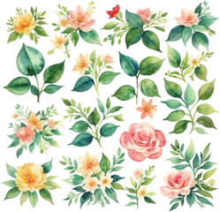 Foto auf Acrylglas Set of Tropical Botanical Floral Leaf Watercolor Illustrations, Isolated on Transparent Background for Design Elements. AI Generetive. © emojoez